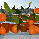 La Terre Des Lauriers Bed & Breakfast Vallauris