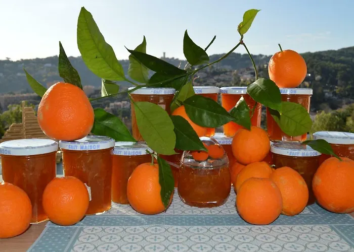 Bed & Breakfast La Terre Des Lauriers 4*